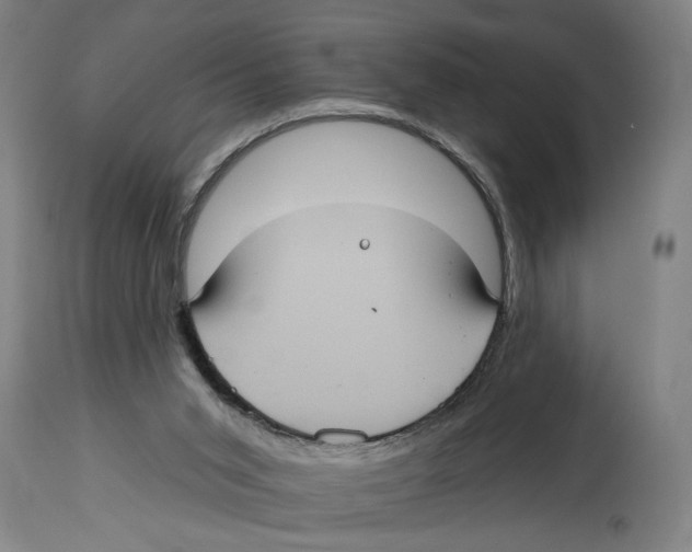 X0000114420015200911131501