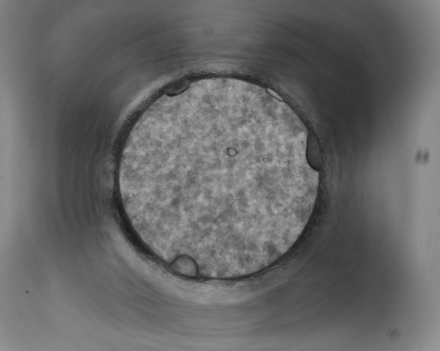 X0000114420016200911131501