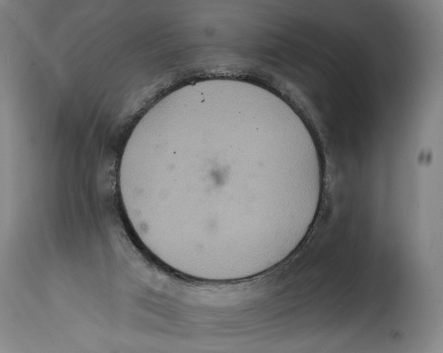 X0000114420017200911131501