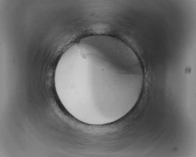 X0000114420018200911131501