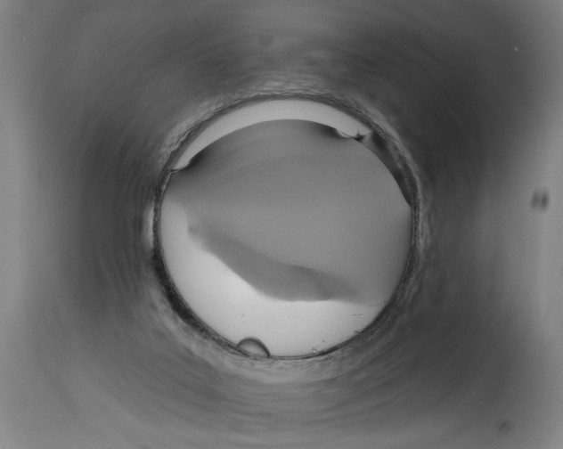 X0000114420019200911131501