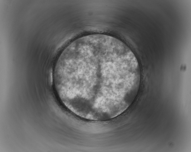 X0000114420020200911131501