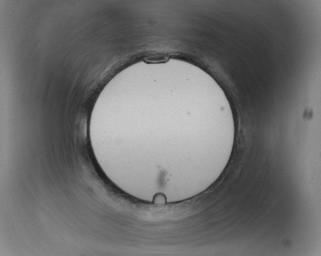 X0000114420021200911131501