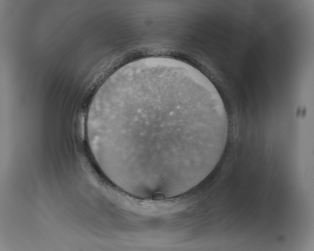 X0000114420022200911131501