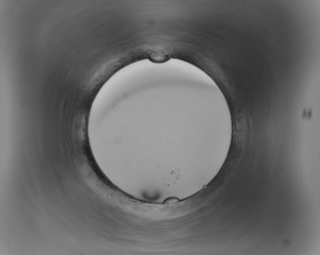 X0000114420023200911131501