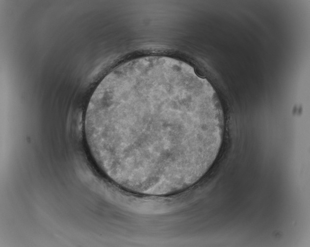 X0000114420024200911131501