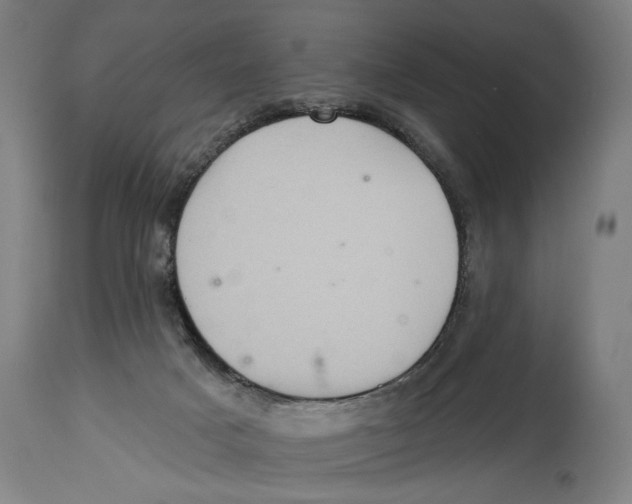X0000114420025200911131500