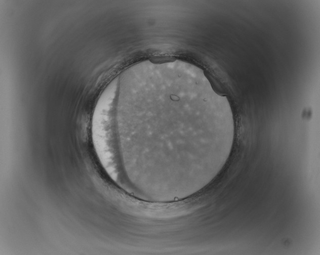 X0000114420026200911131500