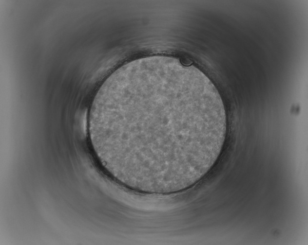 X0000114420028200911131500