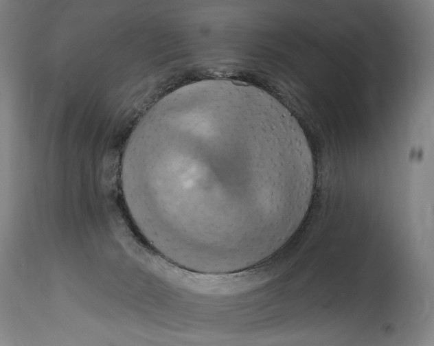 X0000114420030200911131500