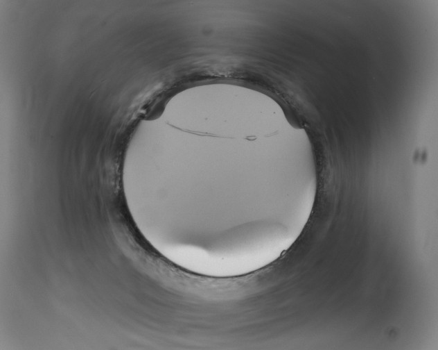 X0000114420031200911131500