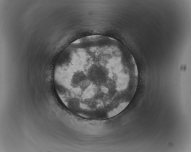 X0000114420032200911131500
