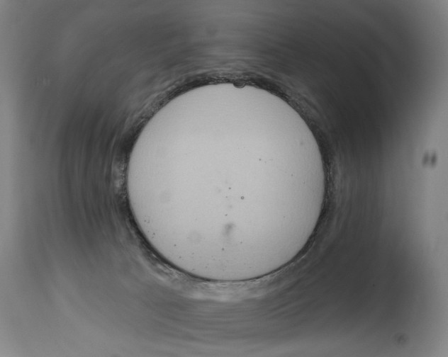 X0000114420033200911131500