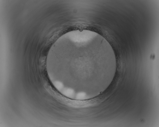 X0000114420034200911131500