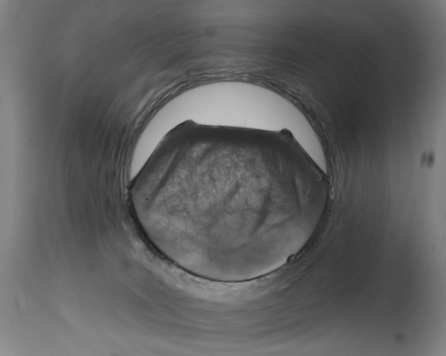 X0000114420035200911131500