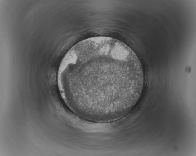X0000114420036200911131500