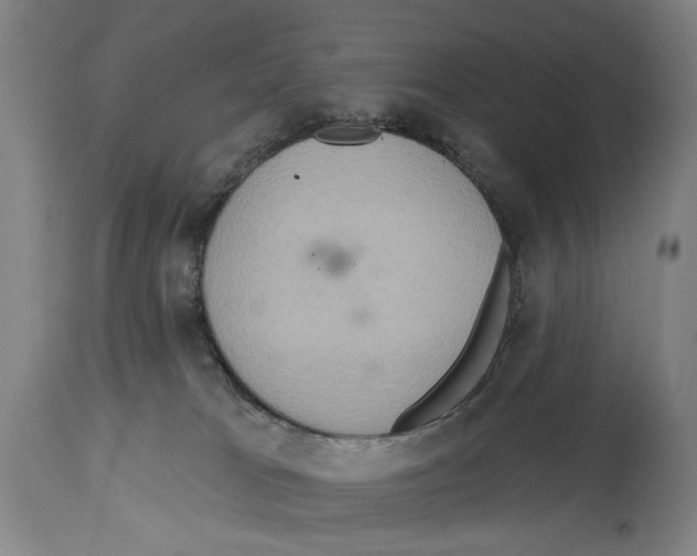 X0000114420037200911131500