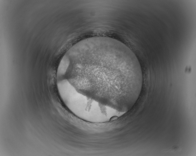 X0000114420038200911131500