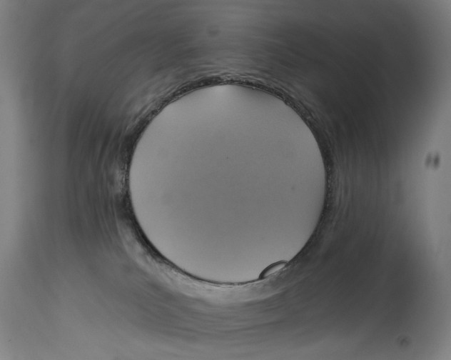 X0000114420039200911131500