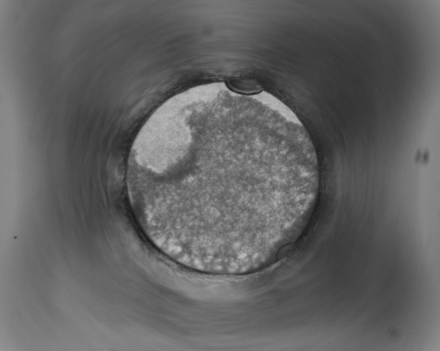 X0000114420040200911131500