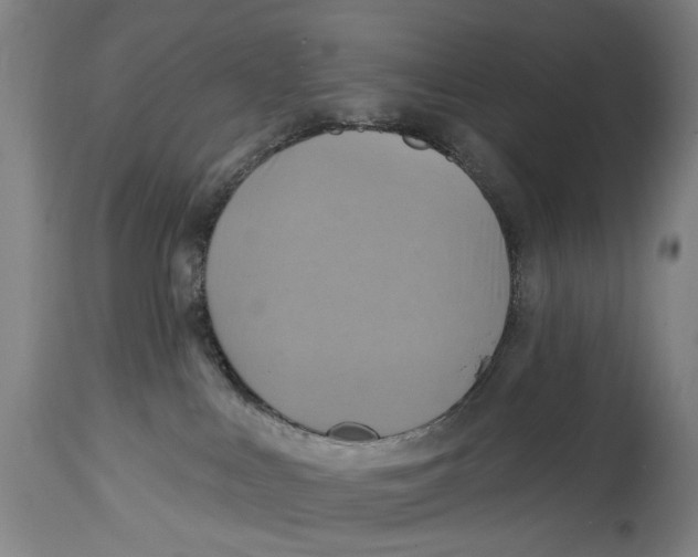 X0000114420043200911131500