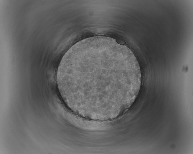 X0000114420044200911131500