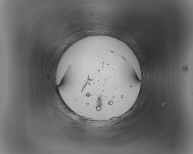 X0000114420045200911131500