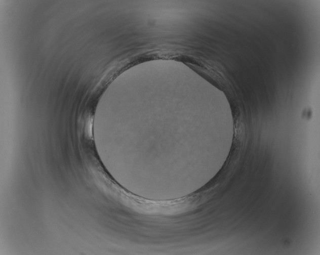 X0000114420046200911131500