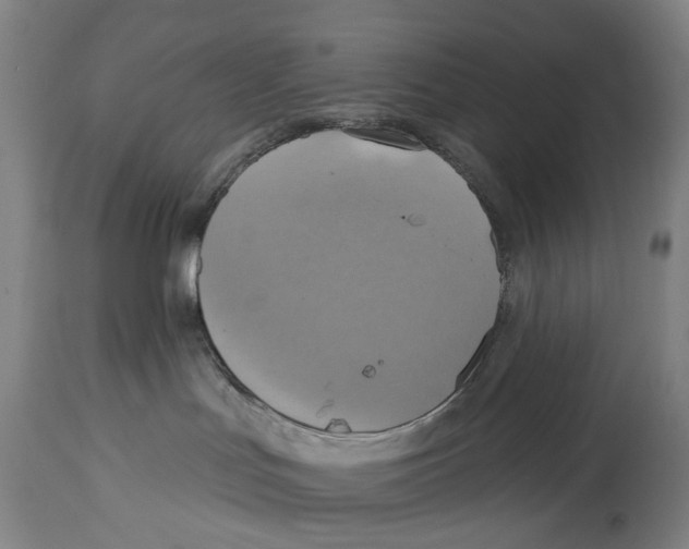 X0000114420047200911131500