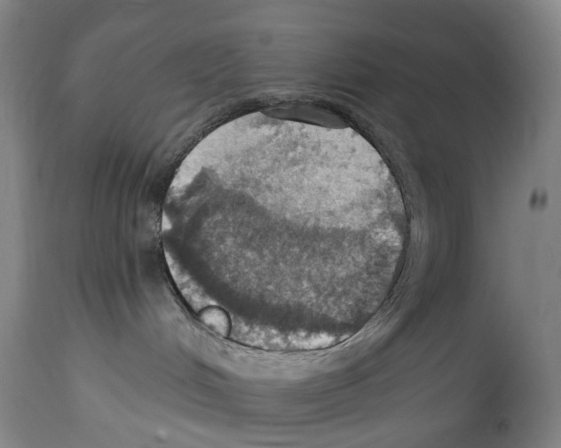X0000114420048200911131500
