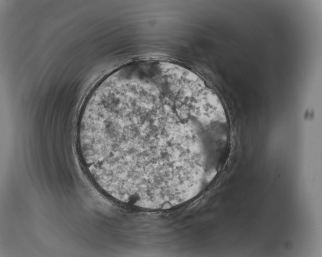 X0000114420049200911131500