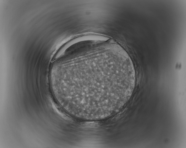 X0000114420050200911131500