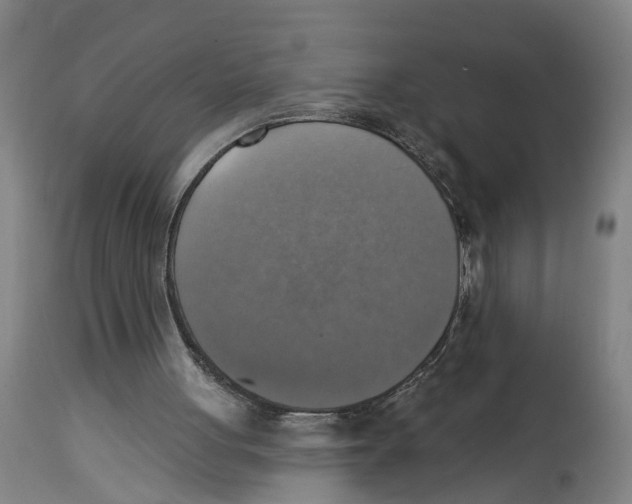 X0000114420051200911131500