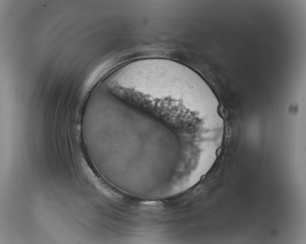 X0000114420053200911131500