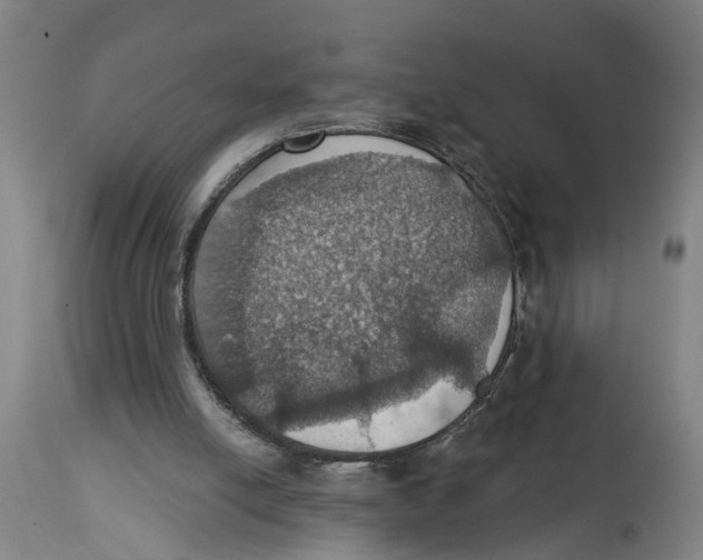 X0000114420054200911131500