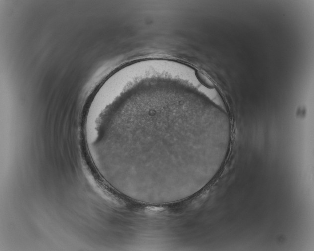 X0000114420055200911131500