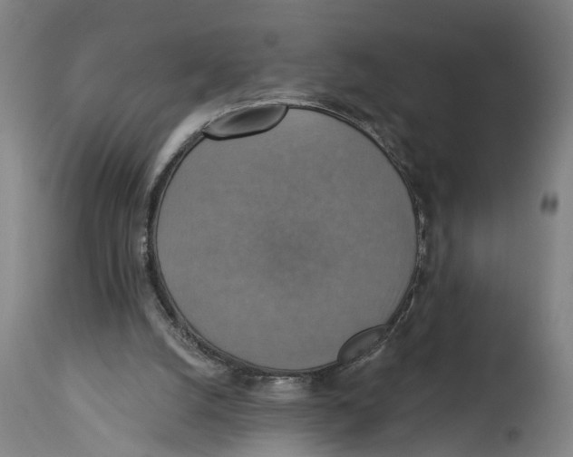 X0000114420056200911131500