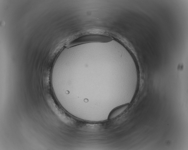 X0000114420057200911131500