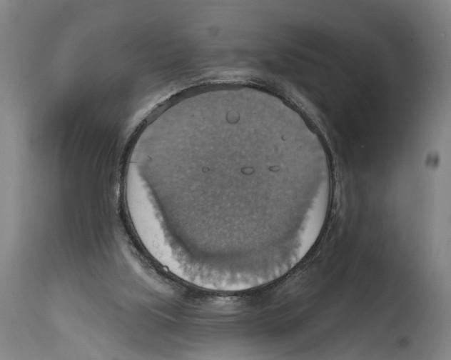 X0000114420059200911131500
