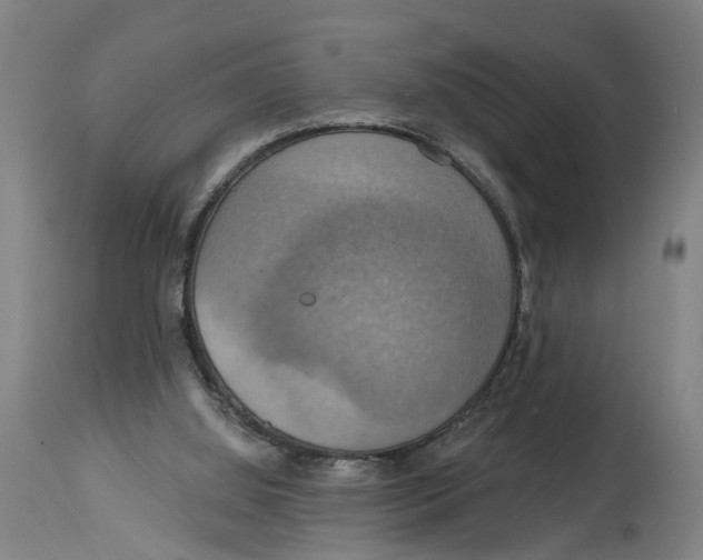 X0000114420060200911131500