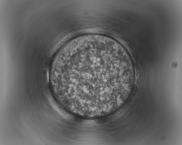 X0000114420061200911131500