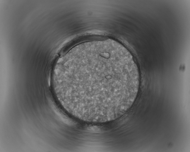X0000114420062200911131500