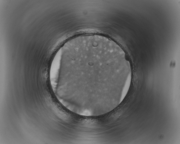 X0000114420063200911131500