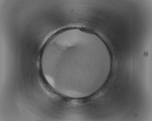X0000114420064200911131500