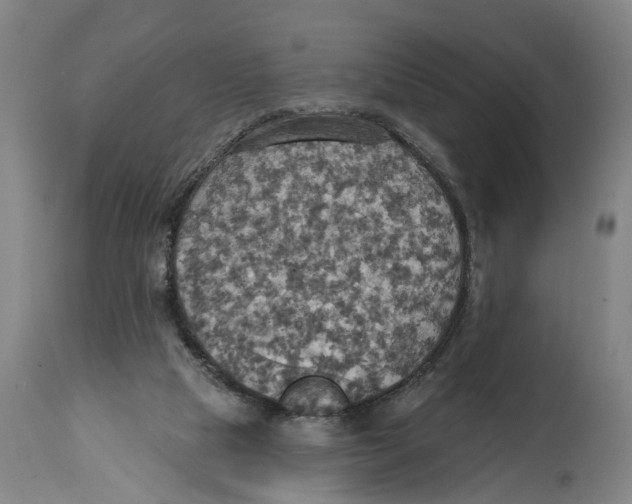X0000114420065200911131500