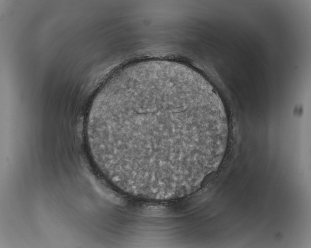 X0000114420066200911131500