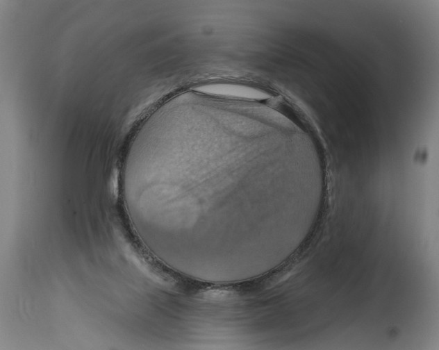 X0000114420067200911131500