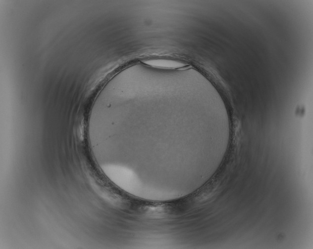 X0000114420068200911131500