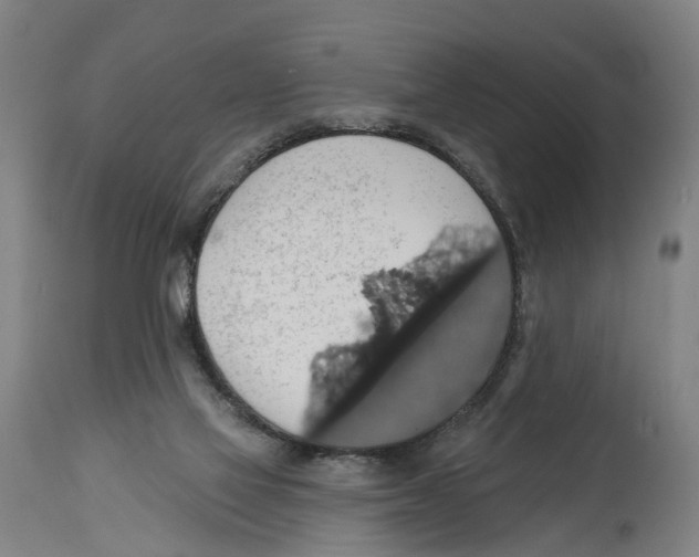 X0000114420069200911131500