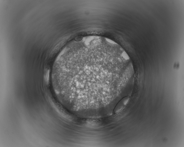 X0000114420070200911131500
